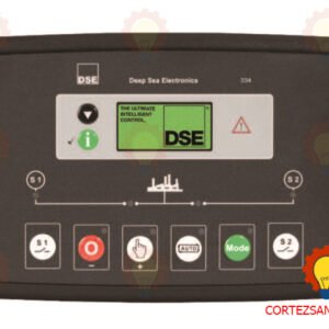 DSE 334