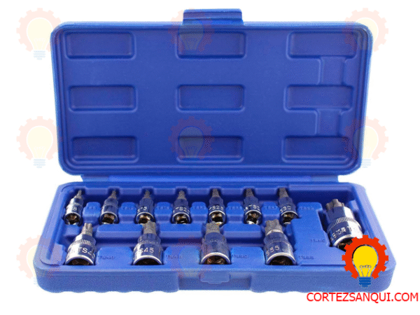 Juego Torx Plus 12‑Piezas TP8–TP60